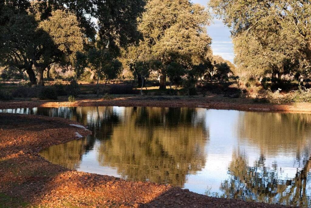 Casa Rural Finca Requejo Cerca De Benavente Tr 49426 Manganeses de la Polvorosa Esterno foto